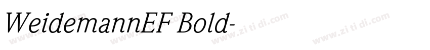 WeidemannEF Bold字体转换